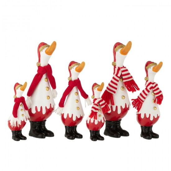 J Line canards statuettes Jolipa Canard Hiver Polyrésine Blanc Rouge Large Assortiment De 2.