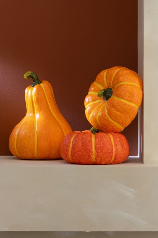 J Line Zucca Autunno Magnesio Arancione Calabaza Otoño Magnesio Naranja.