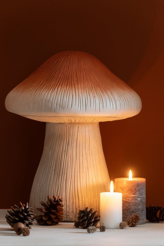 J Line 59724 Wohnzubehoer Paddestoelen Paddestoeltje Decorations Decoration Decoracion Paddenstoeltjes Mushrooms Accesorios De.