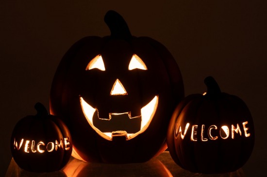 J Line 59753 Beelden Animali Figurines Giraumons Figuren Figuras Dekoration Kuerbisse Courge Potiron Decoratie Decorations pom.