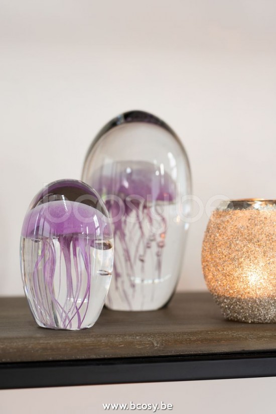 Jline Fotosforo Frosty Redondo Cristal Plata Small