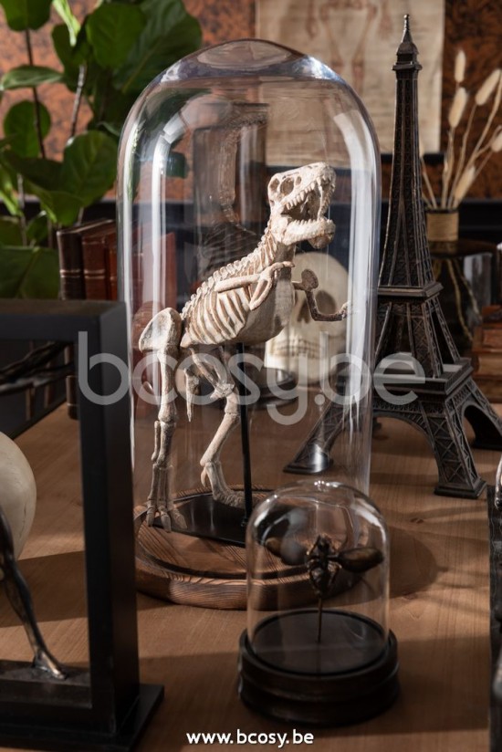 J Line Jline Glocke Rund Holz Glas Transparent Dunkel Braun Large glas glocken