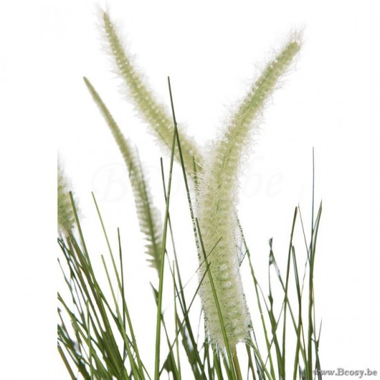 Jline 83461 Bloemen Fleurs Flowers Blumen Flores Fiori DECORATIE Kunst Bloemen Planten Bomen