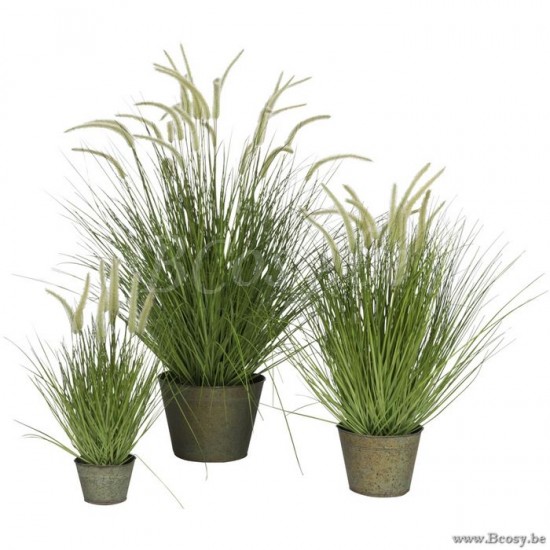 plantes Jolipa Jline Herbes Graminees Pot En Metal Plastique Vert Large