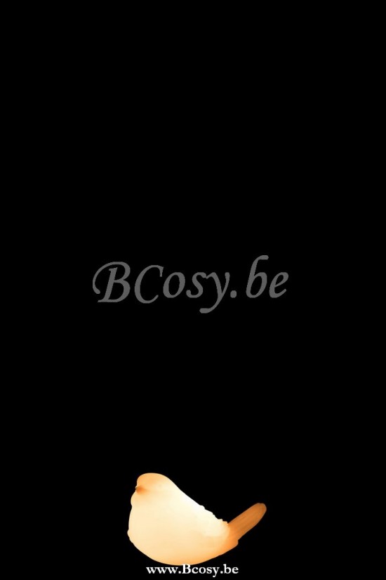 J Line Jline Vogel Led Was Wit Small