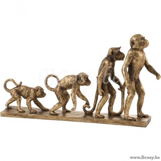 J Line 95570 Aap Evolutie Poly Antiek Goud 25 apen