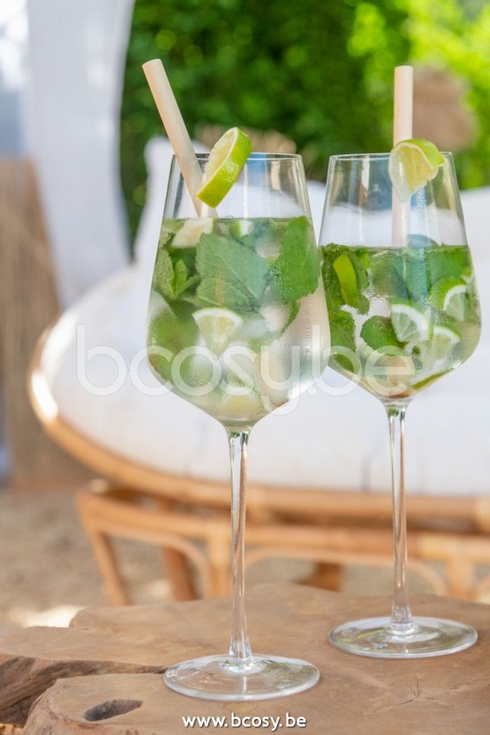 Jline Copa Vino Blanco Cristal Transparente