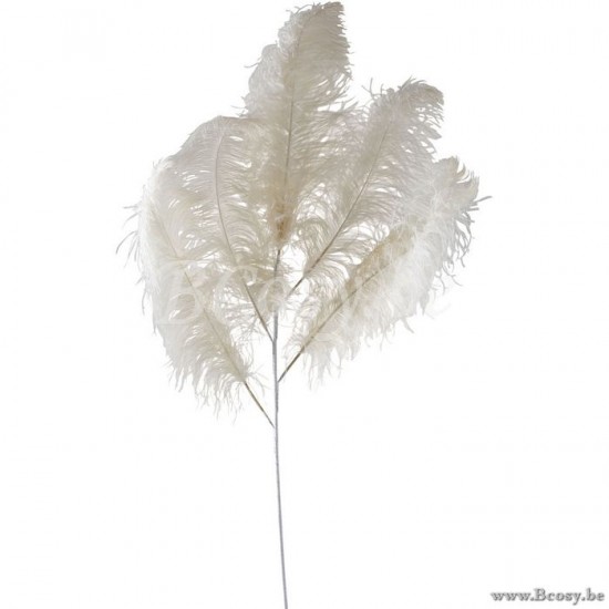 J Line 97478 Struisvogelpluim 5 Delig Creme Large pluimen