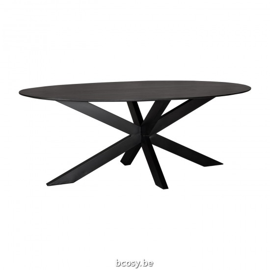LABEL51 Eetkamertafel Zion - Zwart - Mangohout - Ovaal - 210x100 cm.