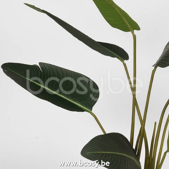 LABEL 51 Strelitzia Groen Kunststof 100 cm.