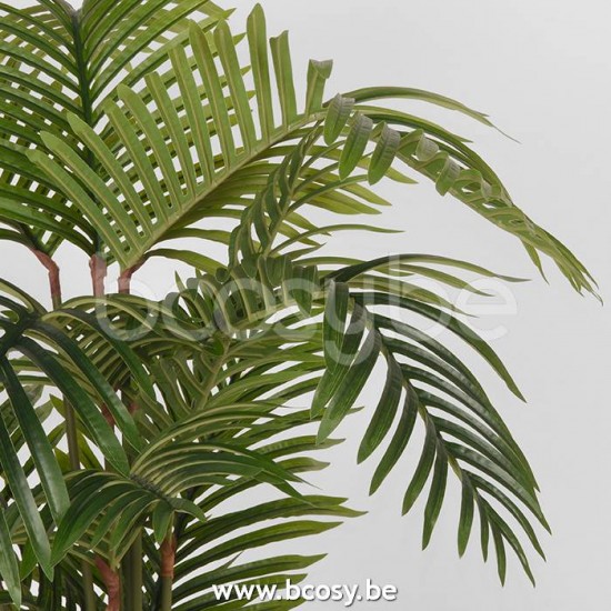 Label51 8720143414992.