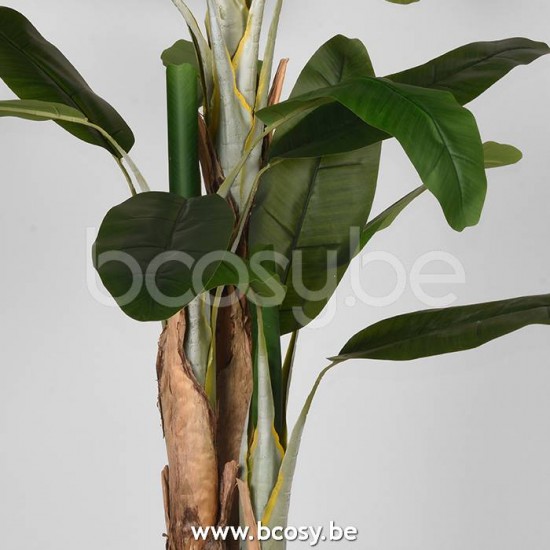 Label51 8720143415005.