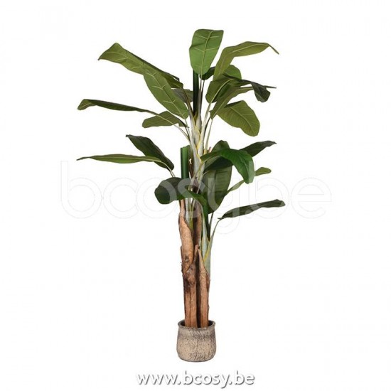 LABEL51 Musa - Groen - Kunststof - 180 cm.