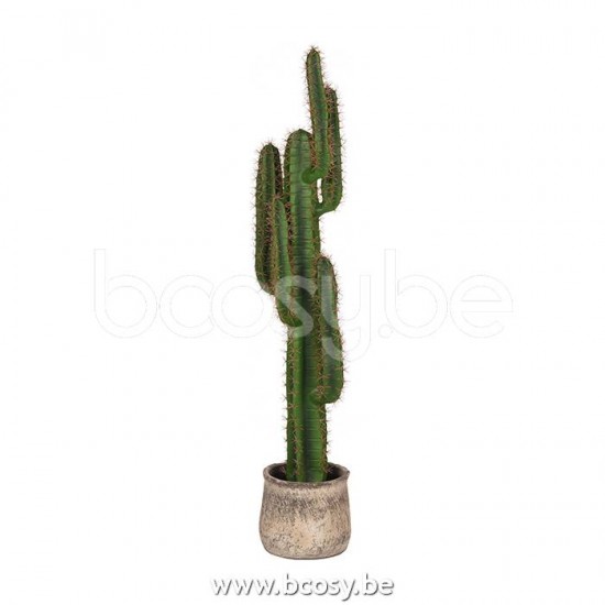 LABEL51 Cactus - Groen - Kunststof - 130 cm.