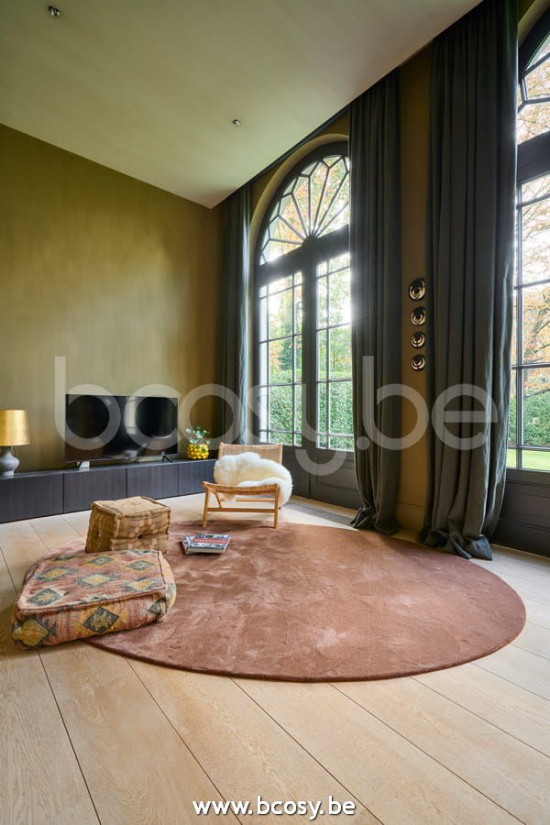 Misura Maglietta carpets