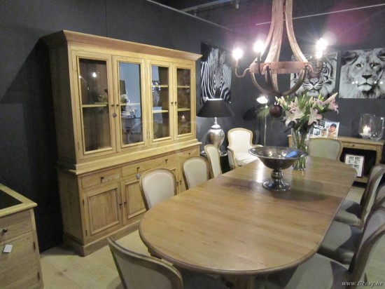 Pr interiors pr rogiers csh 003 webshop boutique web vente en ligne 232e glass cadre en verre lion frontal