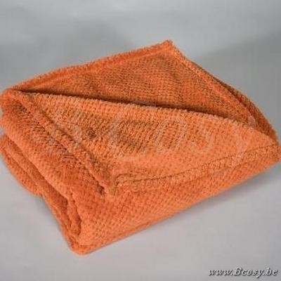 Plaid Coral Fleece Geruit