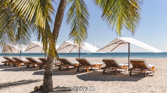 TUUCI Central centre aluminium pole Market sunshades Umbrellas.