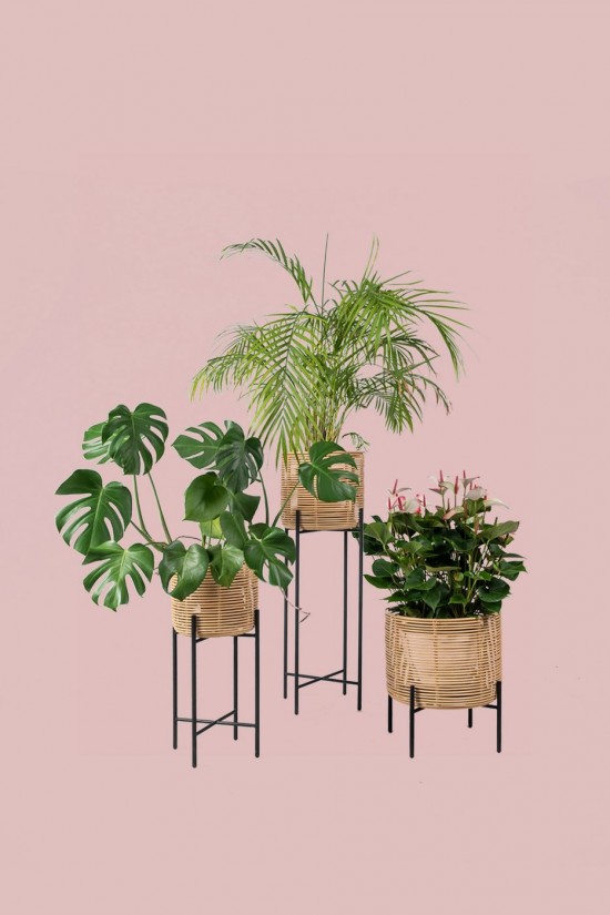 Vincent Sheppard Vivi cachepots de fleur cadre en Acier Noir Medium Rotin Naturel.