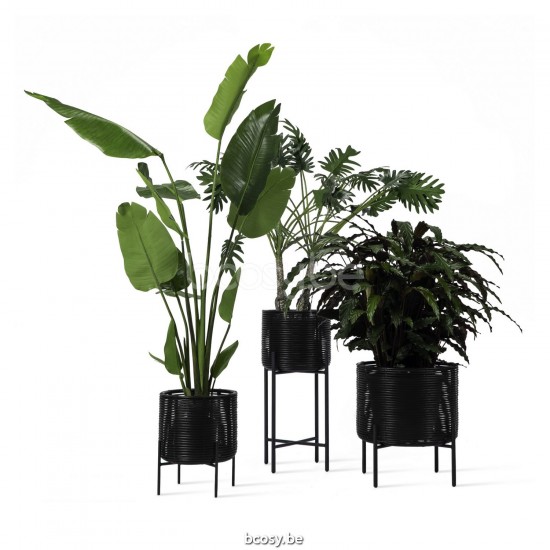 Vincent Sheppard GA901-M007-S010 Vincent Sheppard GA901M007S010 Vincent Sheppard lecedrerouge VIN-GA901-conf.