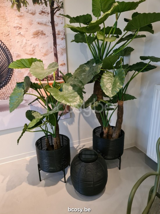 Vincent Sheppard Ivo cachepots de fleur cadre en Acier Noir Dia 29x36h Cordon en osier Noir Polyéthylène.