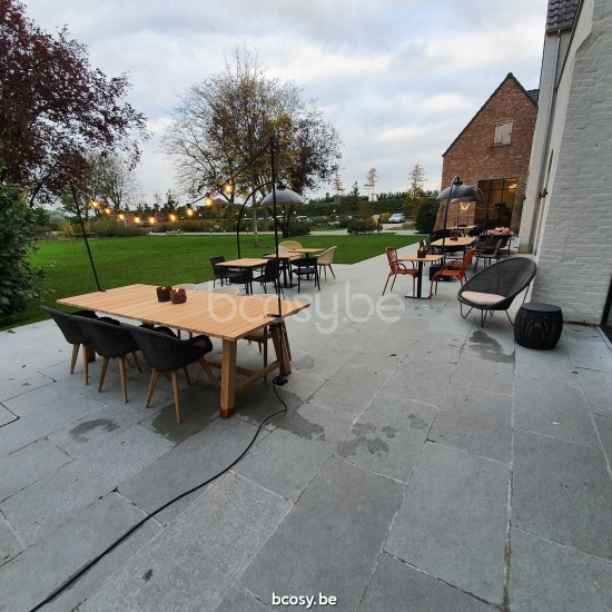 Vincent Sheppard Edgard Stoel Onbehandeld Teak Houten frame.