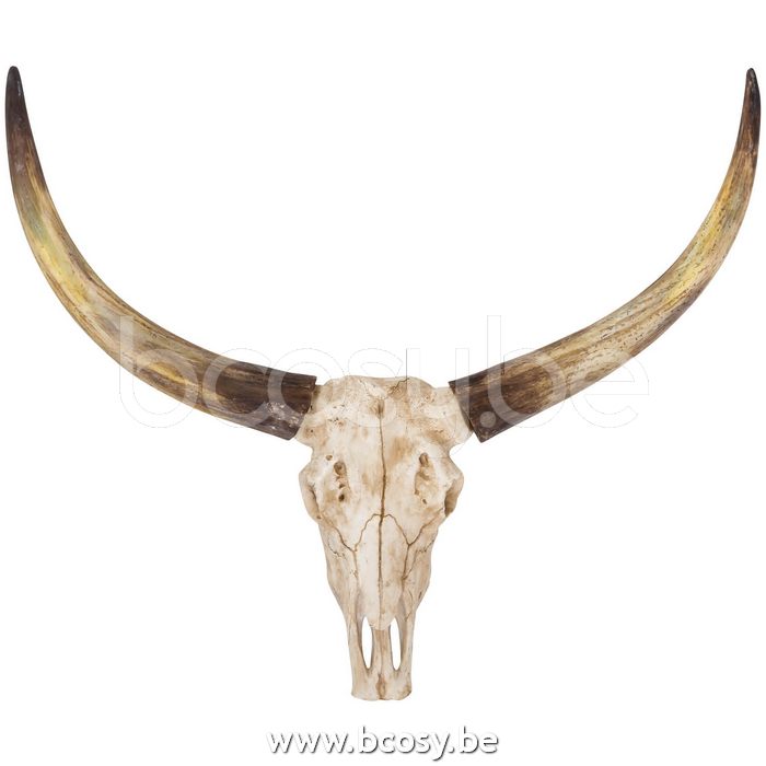 ader Maestro Afhankelijk Lifestyle94 BULL SKULL S 68x34x45 cm--Lifestyle SCHEDEL BULL S 68x34x45  cm--Lifestyle 124873 <span style="font-size: 6pt;"> dierenkoppen hoorns  trofeeen dierenschedels diereschedels cranes en resine skulls tiereschaedel  </span> - Wall Art - BCosy.be ...