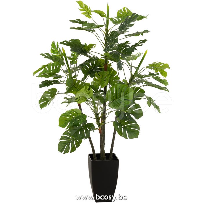 J-Line Philodendron In Pot Plastiek Groen Large L70xB70xH110 Jline 12528 J-line 12528 <span style="font-size: 6pt;"> planten-kunstplanten-kunstboom-kunstbomen-kunstplantjes-plantes-plants-pflanzen </span> Kunst-Bloemen-Planten-Bomen - BCosy.be ...