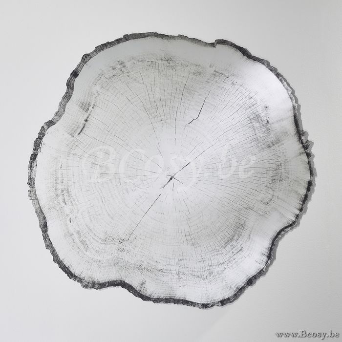 Deknudt mirrors Arbo ART./REF. 2839.291